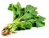 Grow fresh & healthy vegetables