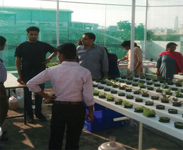 greeniali for Corporates